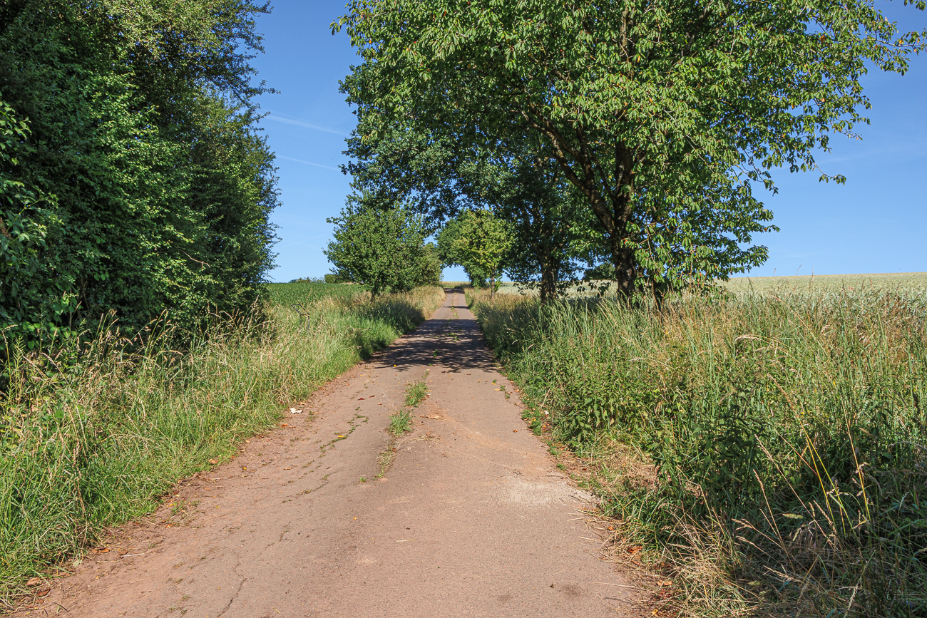 Kleine Allee