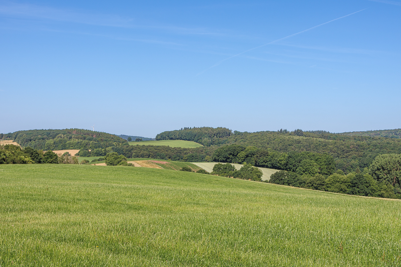 Felder und Wälder