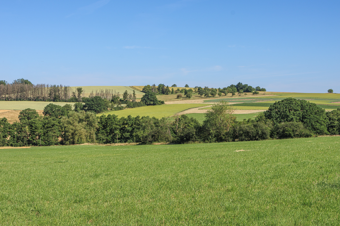 Felder und Wälder