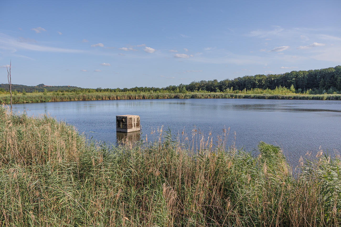 Blick über den Kohlbachtalweiher