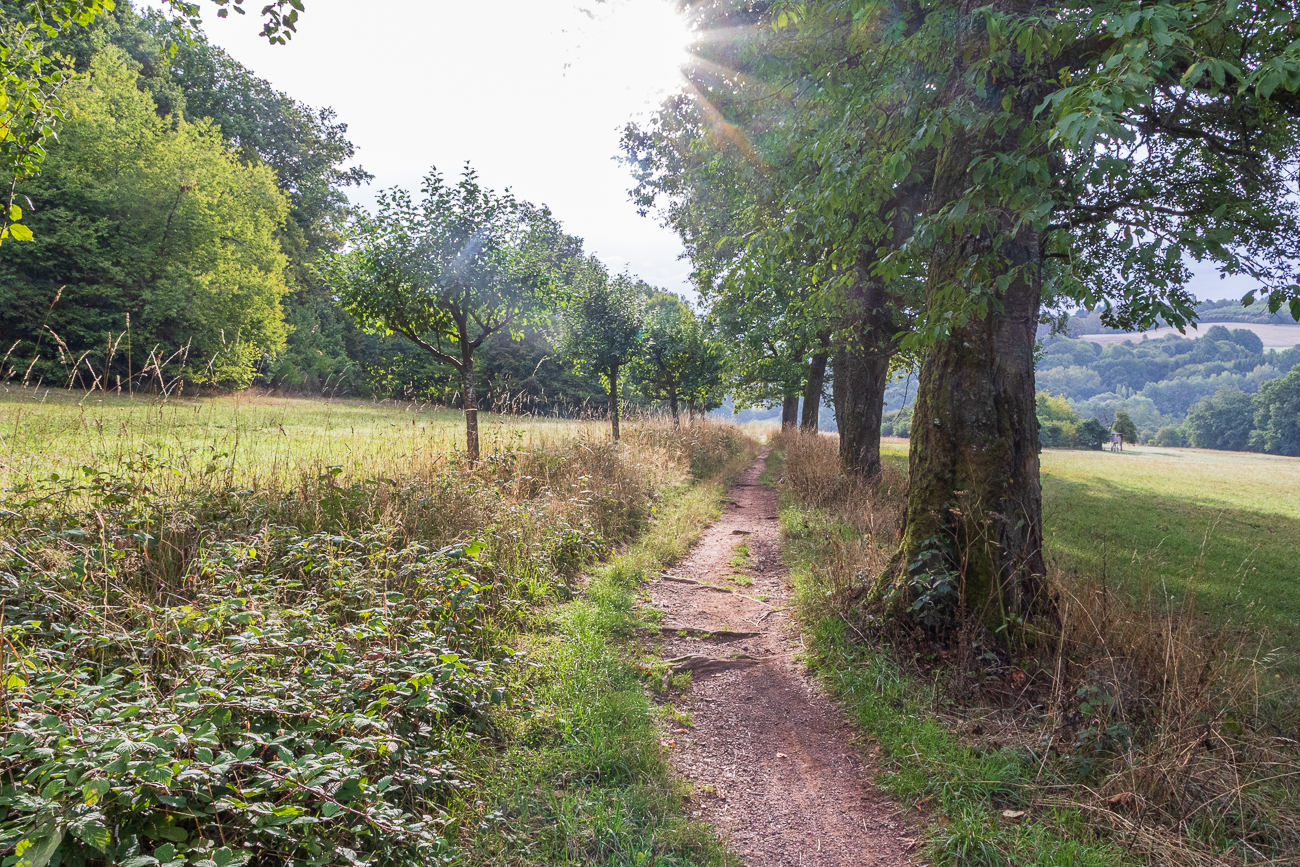 Trail Richtung Ottweiler
