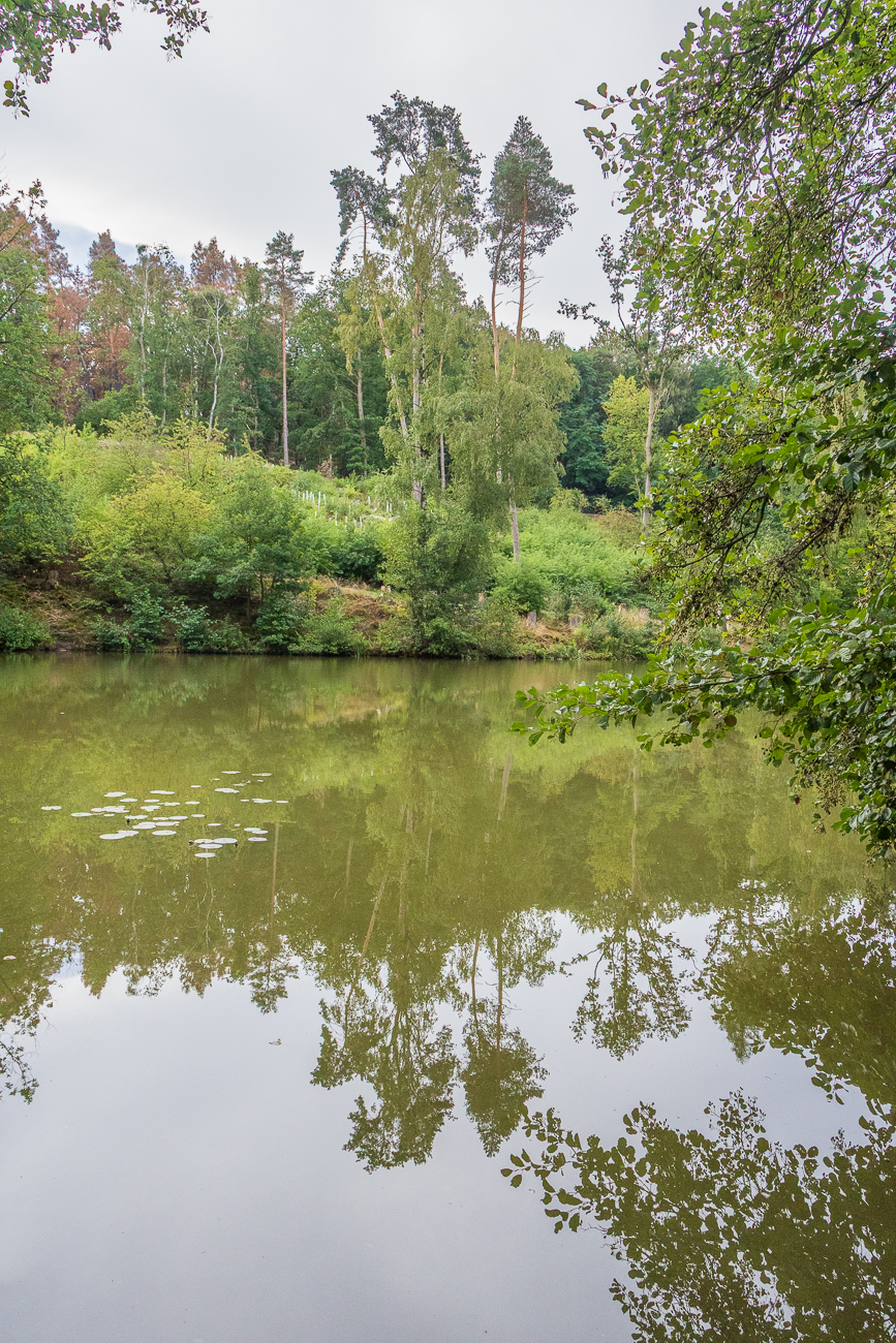 Am Wingertsweiher