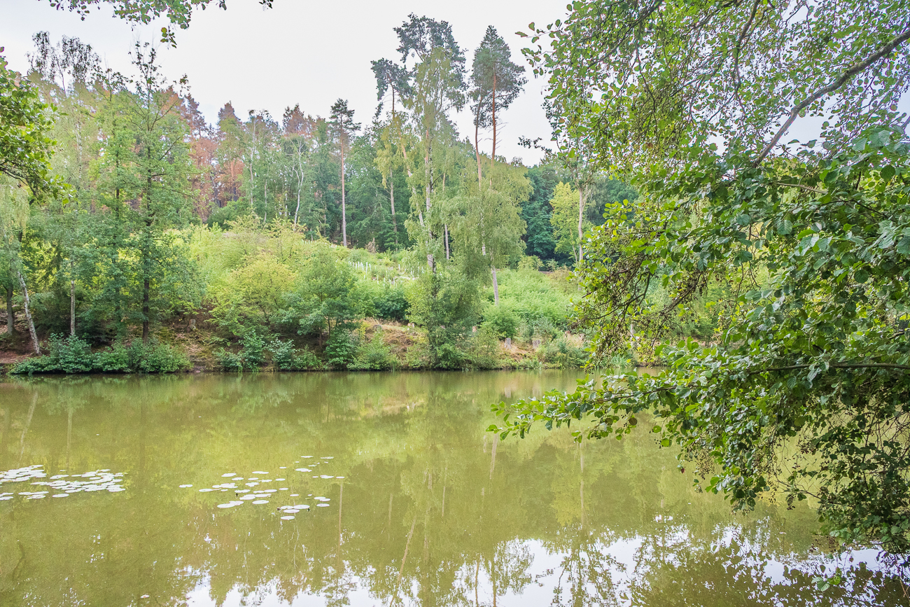 Am Wingertsweiher