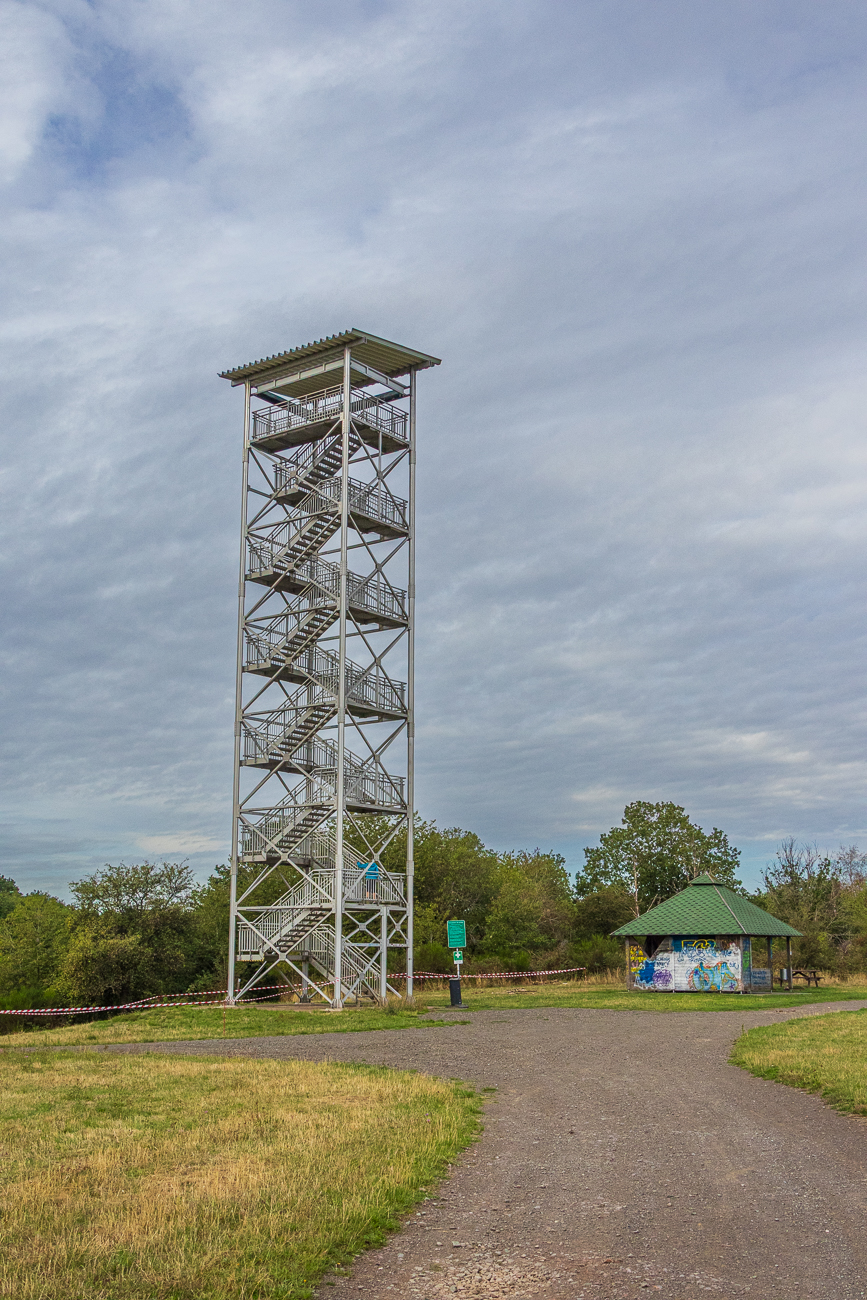 Am Aussichtsturm Betzelh&uuml;bel