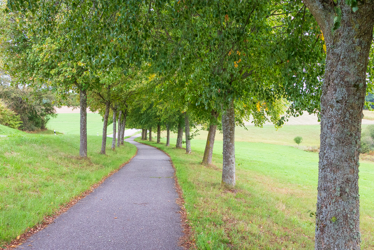 Schöne Lindenallee