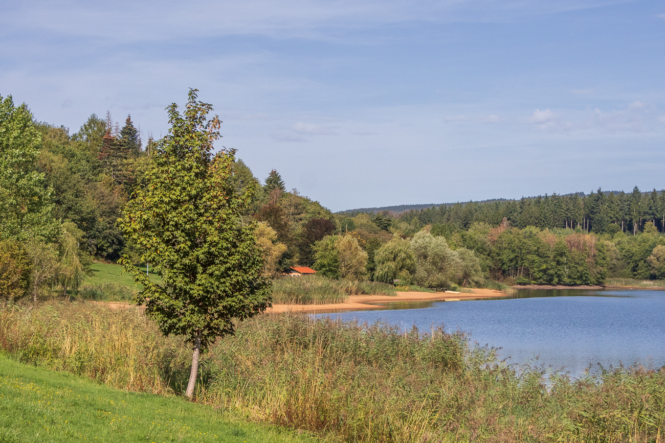 Am Losheimer See