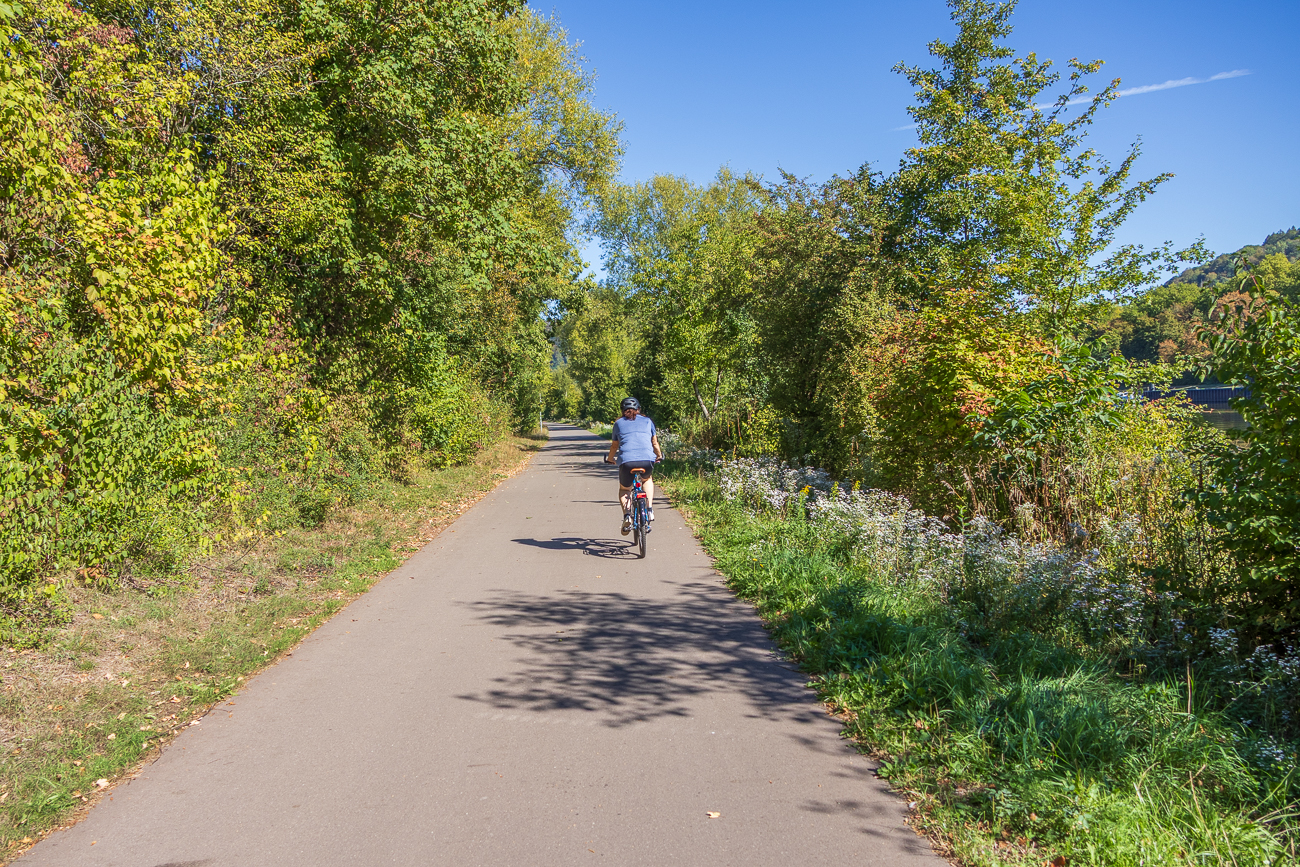 Radweg am Ufer der Saar