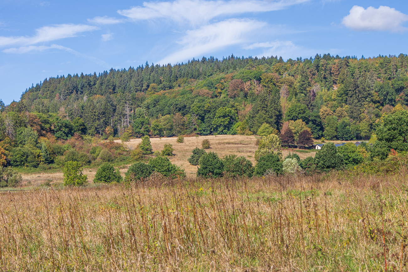 Herbstliche Landschaft