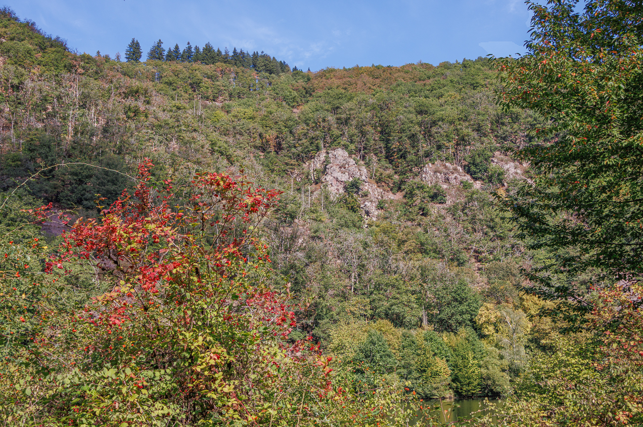 Felswände an der Saarschleife