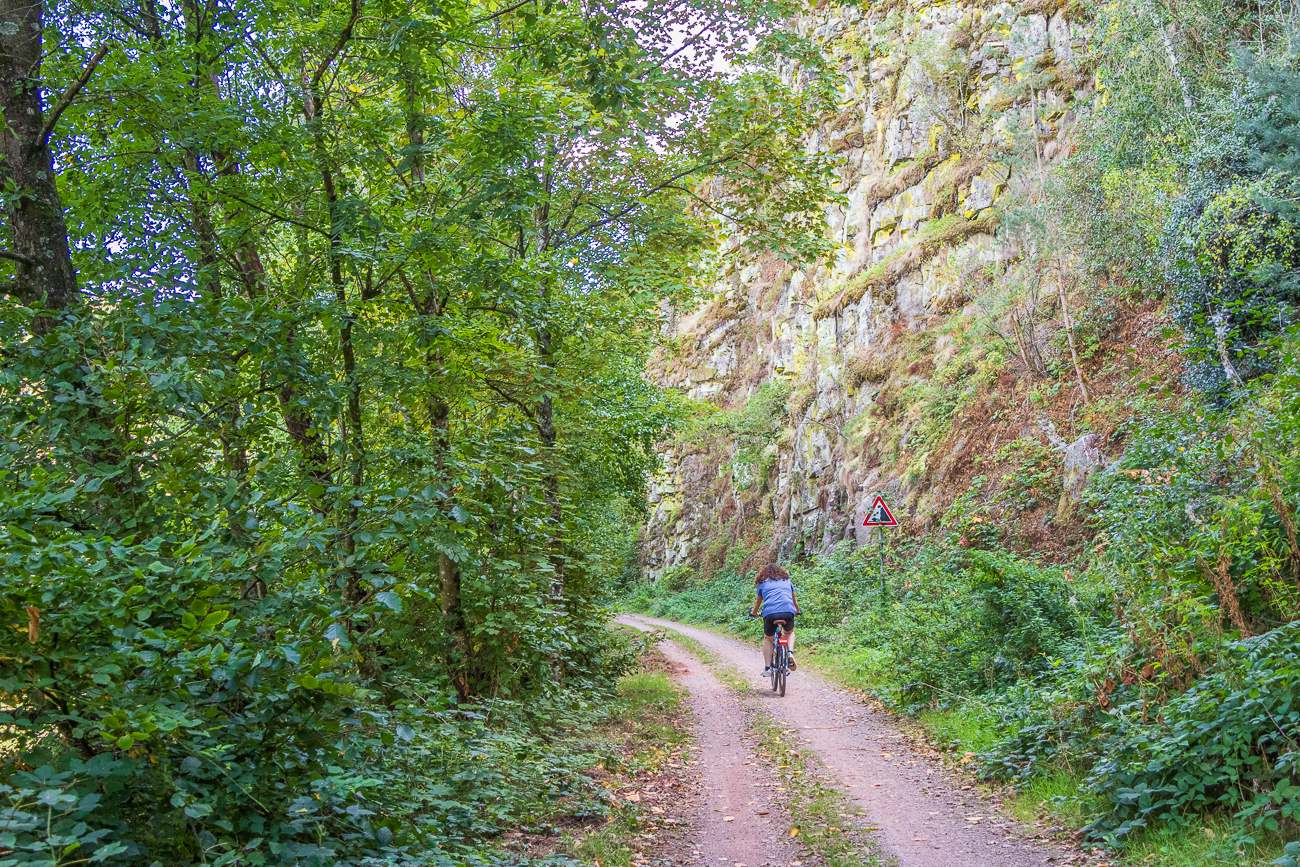 Felswände an der Saarschleife